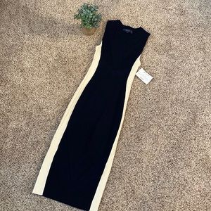 Rachel Roy Fitted Sleeveless Dress